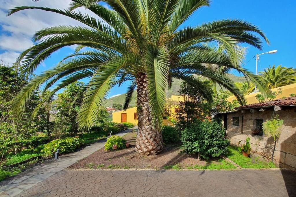Casa Emblematica Apartment Tegueste Luaran gambar